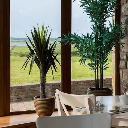 ベッド・アンド・ブレックファスト Down Yonder Boutique 5*