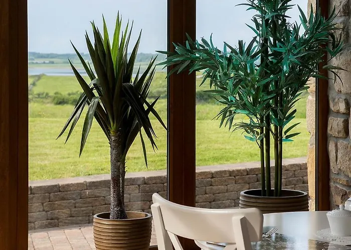 Bed & Breakfast Down Yonder Boutique 5*